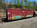 MTNR 175532